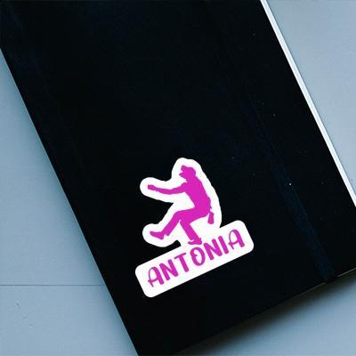 Sticker Climber Antonia Notebook Image