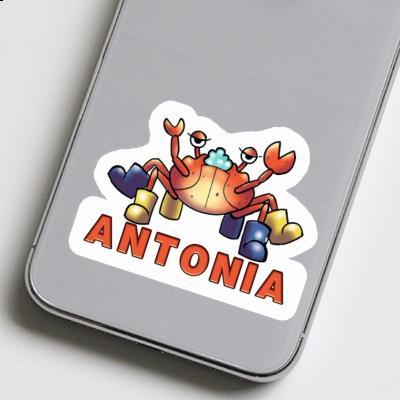 Crab Sticker Antonia Notebook Image