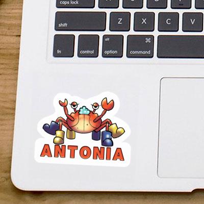 Crab Sticker Antonia Image