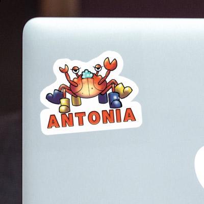 Antonia Sticker Krabbe Laptop Image