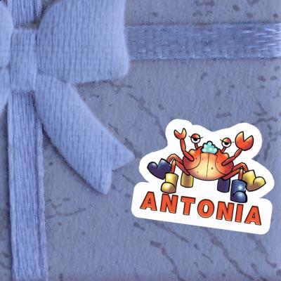 Crab Sticker Antonia Notebook Image