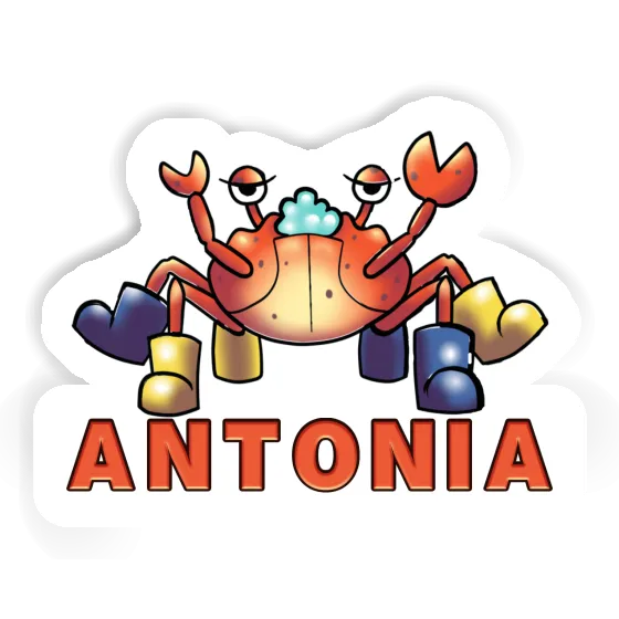 Crab Sticker Antonia Notebook Image