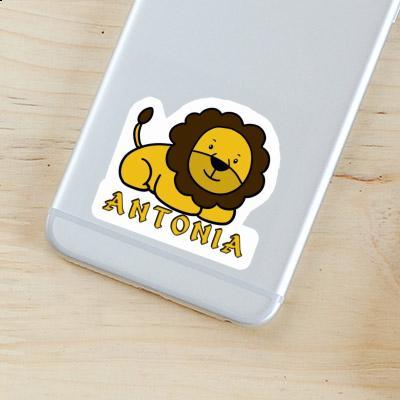 Sticker Lion Antonia Laptop Image