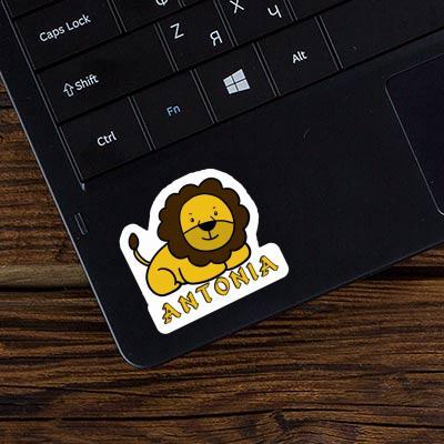 Sticker Lion Antonia Laptop Image