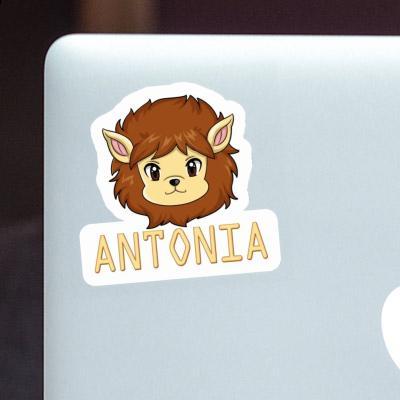 Antonia Sticker Lionhead Notebook Image