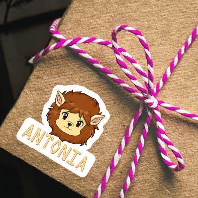 Antonia Sticker Lionhead Notebook Image