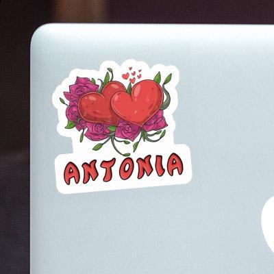 Sticker Heart Antonia Laptop Image