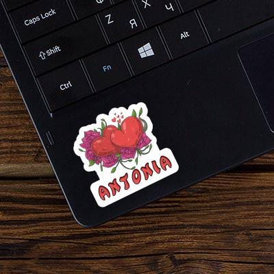 Sticker Heart Antonia Laptop Image