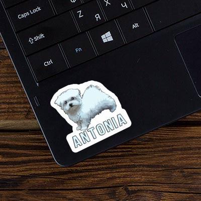 Antonia Sticker Maltese Dog Notebook Image