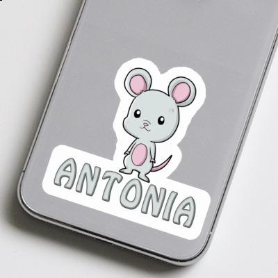 Autocollant Souris Antonia Laptop Image