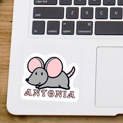 Antonia Sticker Mouse Image