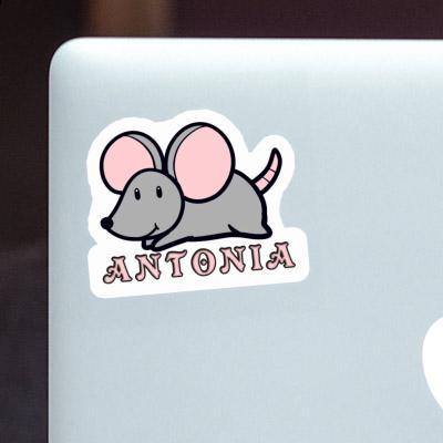 Antonia Sticker Mouse Laptop Image