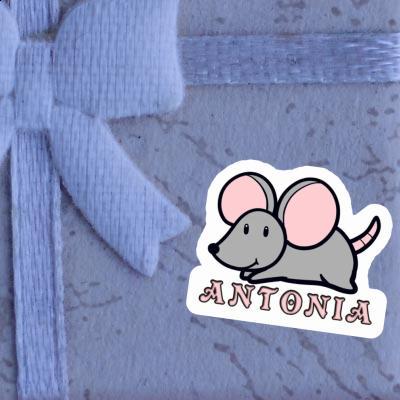 Souris Autocollant Antonia Notebook Image