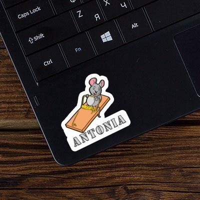 Antonia Sticker Mouse Laptop Image