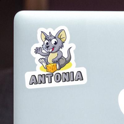 Autocollant Antonia Souris Laptop Image