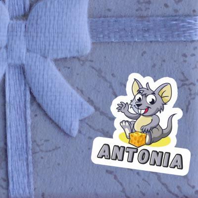 Autocollant Antonia Souris Gift package Image