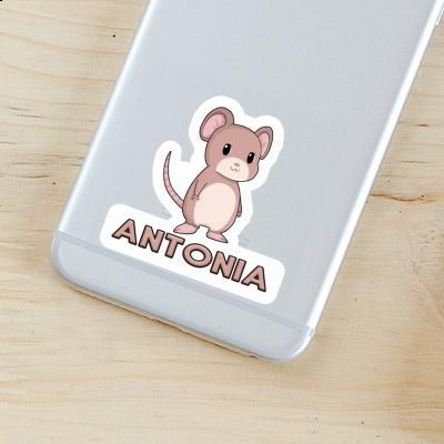 Antonia Sticker Mouse Laptop Image