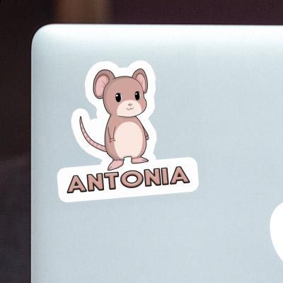 Antonia Sticker Mouse Notebook Image