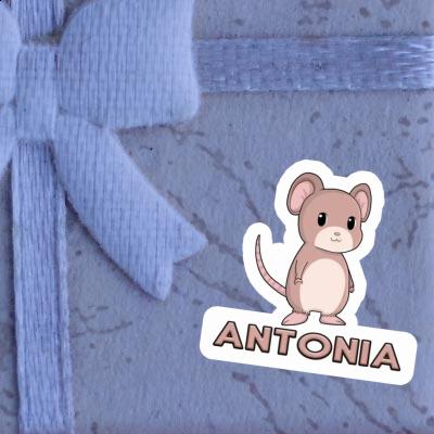 Antonia Sticker Mouse Notebook Image