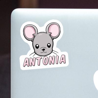 Mouse Sticker Antonia Notebook Image