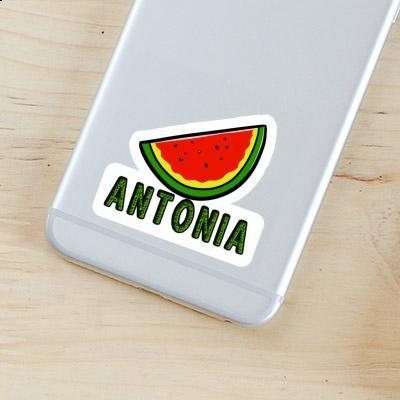 Sticker Antonia Watermelon Notebook Image