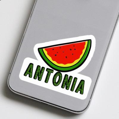 Sticker Antonia Watermelon Notebook Image