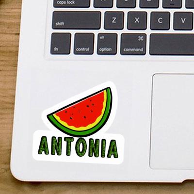 Sticker Wassermelone Antonia Notebook Image