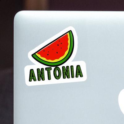 Sticker Wassermelone Antonia Notebook Image