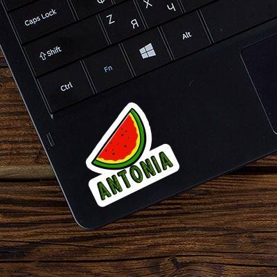 Sticker Antonia Watermelon Gift package Image