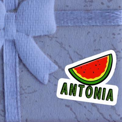 Sticker Antonia Watermelon Laptop Image