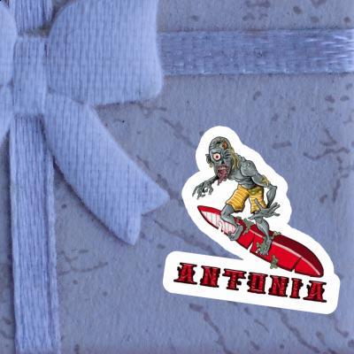 Surfer Sticker Antonia Gift package Image