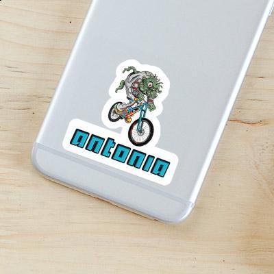 Antonia Sticker Biker Gift package Image