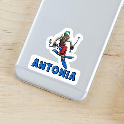 Antonia Sticker Skier Notebook Image