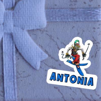 Antonia Sticker Skier Notebook Image