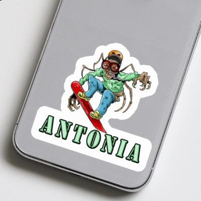 Snowboarder Sticker Antonia Image