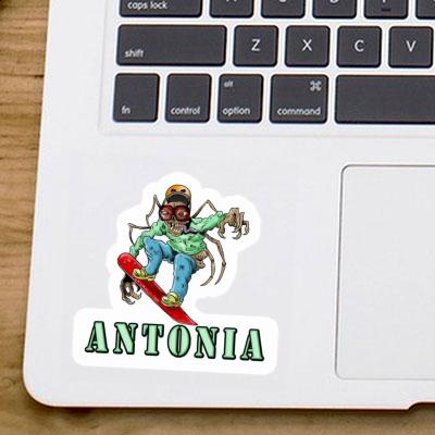 Snowboarder Sticker Antonia Laptop Image