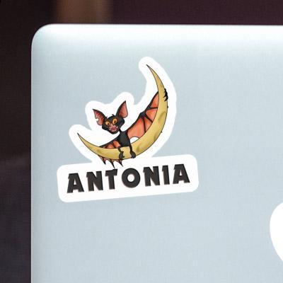 Sticker Antonia Bat Laptop Image