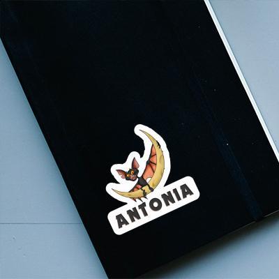 Sticker Fledermaus Antonia Laptop Image