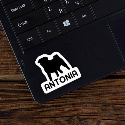 Antonia Sticker Pug Laptop Image