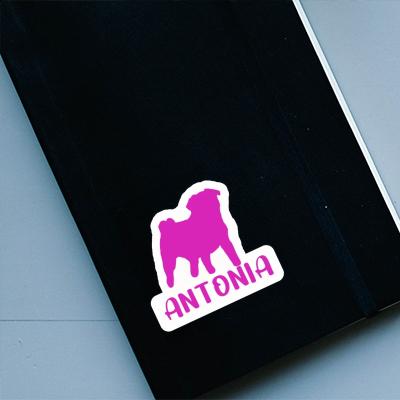 Antonia Sticker Pug Notebook Image