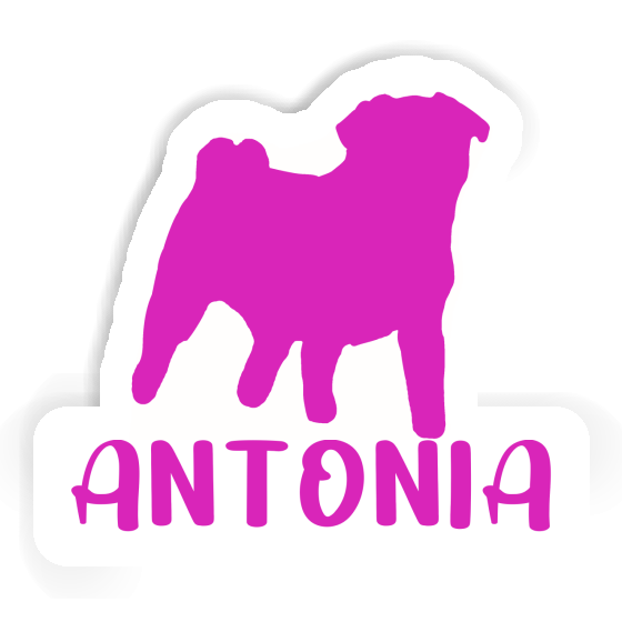 Antonia Sticker Pug Notebook Image