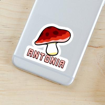 Mushroom Sticker Antonia Image