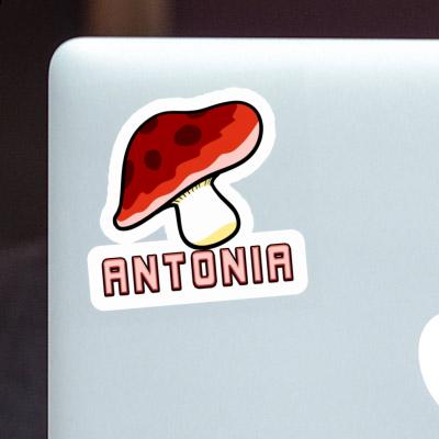 Mushroom Sticker Antonia Notebook Image