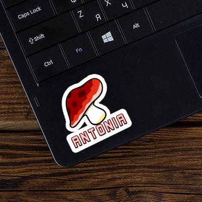 Mushroom Sticker Antonia Laptop Image