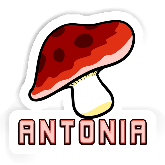 Mushroom Sticker Antonia Laptop Image