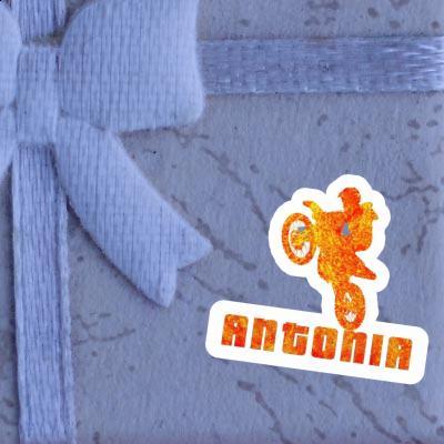 Motocross Rider Sticker Antonia Image