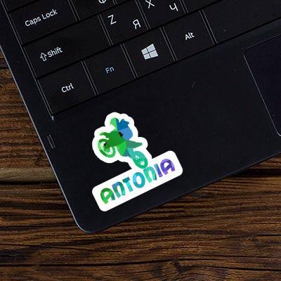 Sticker Motocross-Fahrer Antonia Notebook Image