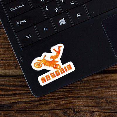 Sticker Antonia Motocross Rider Laptop Image