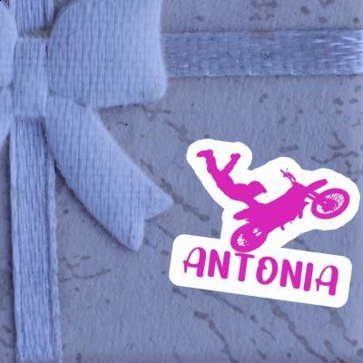 Motocross Rider Sticker Antonia Gift package Image