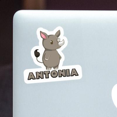 Antonia Sticker Rhino Laptop Image